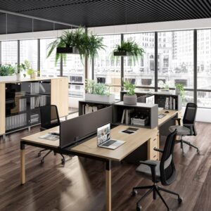 Standard Cleaning Furnished Office (4000-5000 sq ft )