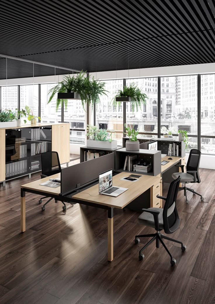 Standard Cleaning Furnished Office (4000-5000 sq ft )