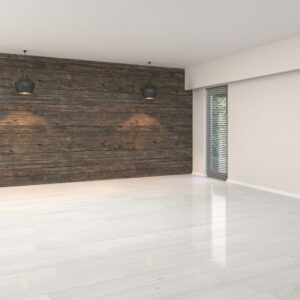 Ultimate Cleaning Unfurnished Living Room